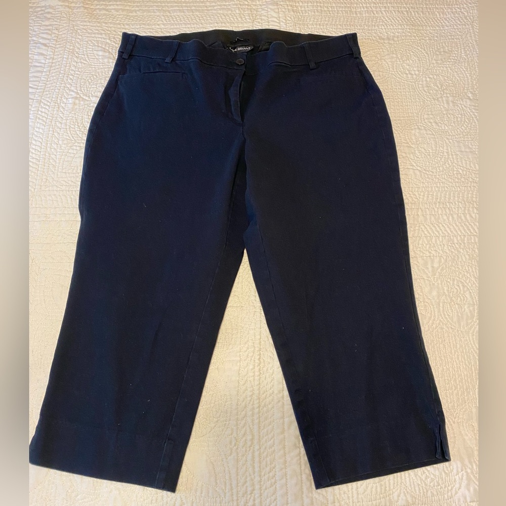 Lane Bryant Women’s 22W Black Ankel Pants